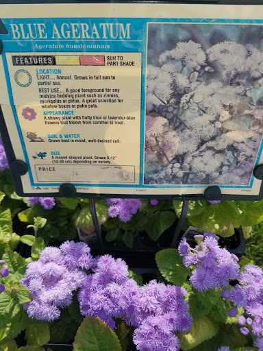 Florist «Lyndhurst Florist», reviews and photos, 5268 Mayfield Rd, Lyndhurst, OH 44124, USA