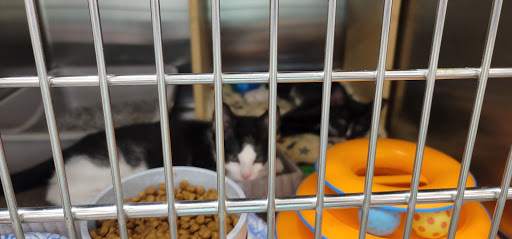 Pet Supply Store «PetSmart», reviews and photos, 111 Nassau Park Blvd, Princeton, NJ 08540, USA