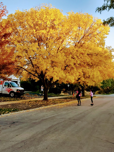 Municipality «Country Lakes Park», reviews and photos, 1835 N Aurora Rd, Naperville, IL 60563, USA