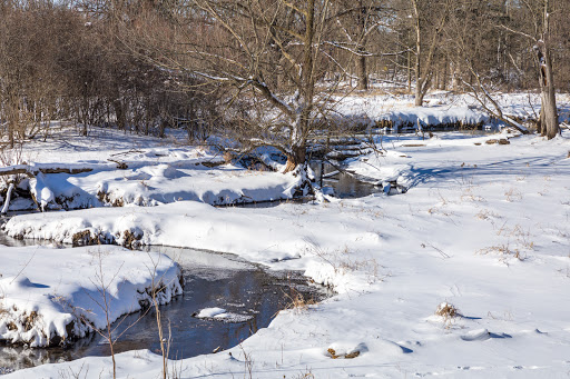 Nature Preserve «Bluff Spring Fen», reviews and photos, Spring Grove Ave, Elgin, IL 60120, USA