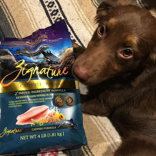 Zignature Dog Food