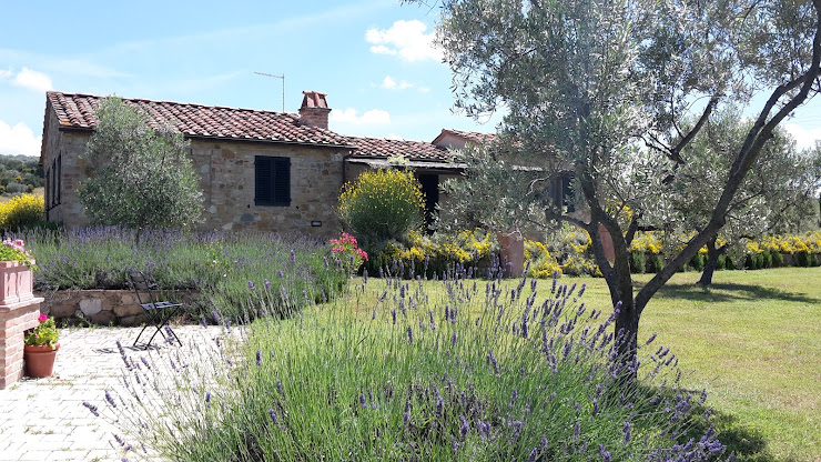 Cottage Vacances à la ferme San Anna villa with pool 53020 Montisi