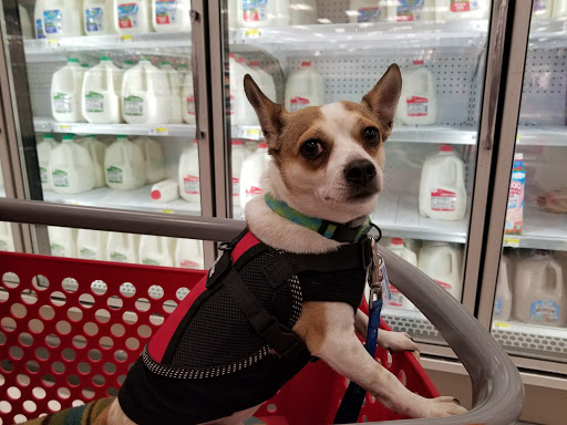 Department Store «Target», reviews and photos, 2975 Horseblock Road, Medford, NY 11763, USA