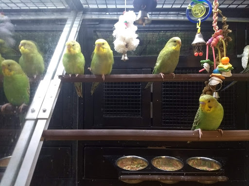 Pet Supply Store «PetSmart», reviews and photos, 948 Springfield Rd, Union, NJ 07083, USA