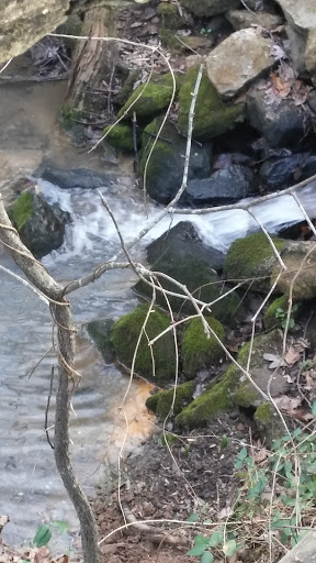 Nature Preserve «Reynolds Nature Preserve», reviews and photos, 5665 Reynolds Rd, Morrow, GA 30260, USA