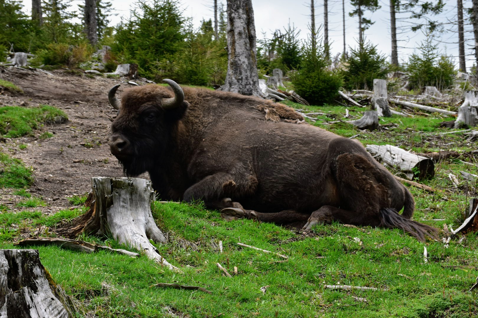 Photo n° 4 de l'avis de Muriel.e fait le 09/05/2023 à 12:53