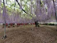 ＪＡ足利 尾名川ライスセンター