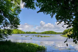 Häckebergasjön image