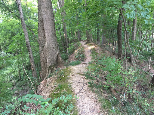 Golf Course «Lake of the Woods Golf Course», reviews and photos, 405 N Lake of the Woods Rd, Mahomet, IL 61853, USA