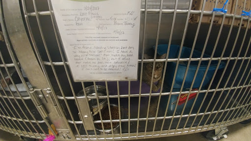 Pet Supply Store «PetSmart», reviews and photos, 145 Promenade Blvd, Bridgewater, NJ 08807, USA