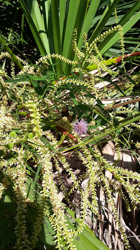 Aquarium «St. Augustine Aquarium», reviews and photos, 2045 FL-16, St Augustine, FL 32084, USA