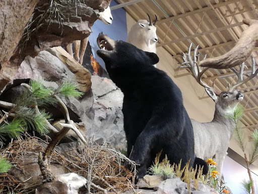 Movie Theater «AMC Barrett Commons 24», reviews and photos, 2600 Cobb Pl Ln NW, Kennesaw, GA 30144, USA