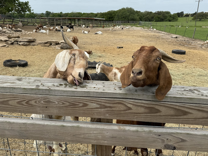 Ranch near Best Western Plus La Grange Inn And Suites
