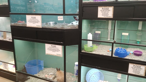 Pet Store «Pet Depot», reviews and photos, 10008 Memorial Pkwy SW, Huntsville, AL 35803, USA