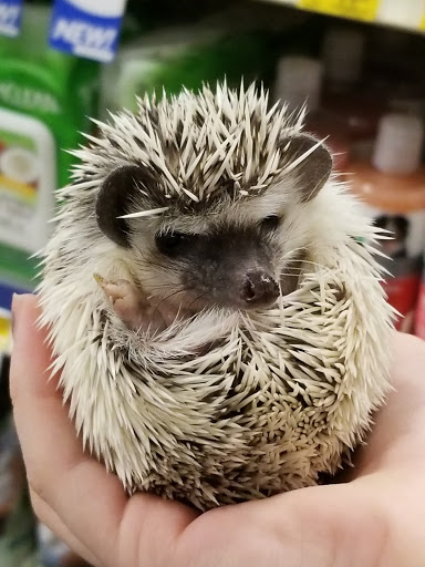 Pet Supply Store «PetSmart», reviews and photos, 2601 Housley Rd, Annapolis, MD 21401, USA