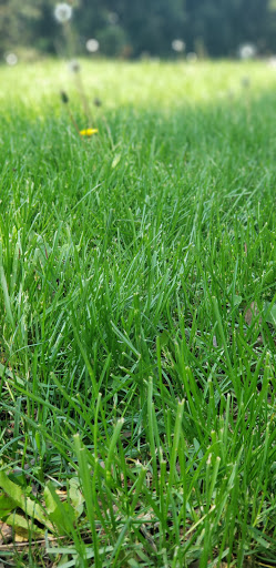 Park «Bensonhurst Park», reviews and photos, Cropsey Ave, Brooklyn, NY 11214, USA