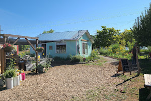 Sweet Pea Farm And Orchard