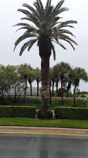 Nature Preserve «Sandy Ridge Sanctuary», reviews and photos, 8501 NW 40th St, Coral Springs, FL 33065, USA