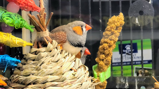 Pet Supply Store «PetSmart», reviews and photos, 265 Chelmsford St, Chelmsford, MA 01824, USA