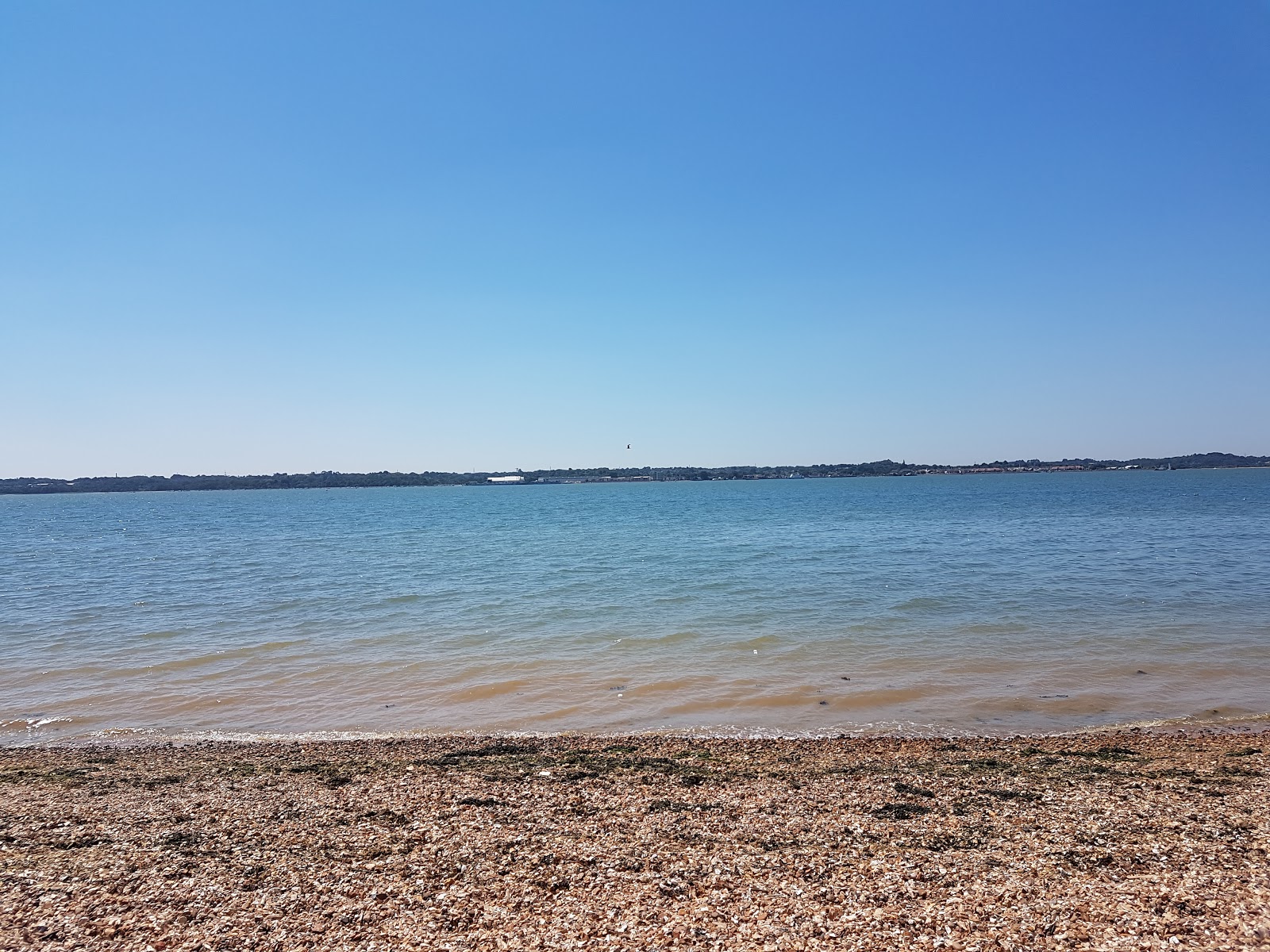 Photo de Weston Hard Woolston avec baie longue
