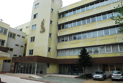Kocaeli Üniversitesi Güzel Sanatlar Fakültesi