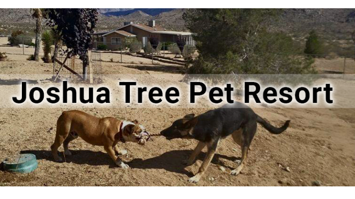 Joshua Tree Pet Resort