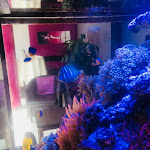 Photo n°1 de l'avis de Ashish.h fait le 26/09/2018 à 05:40 sur le  Gartenhotel Heusser à Bad Dürkheim