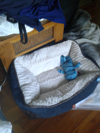 Pet Supply Store «Unleashed by Petco», reviews and photos, 1572 Foothill Blvd, La Verne, CA 91750, USA