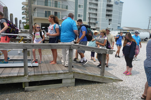 Cruise Agency «Tangier Island Cruises», reviews and photos, 1001 W Main St, Crisfield, MD 21817, USA