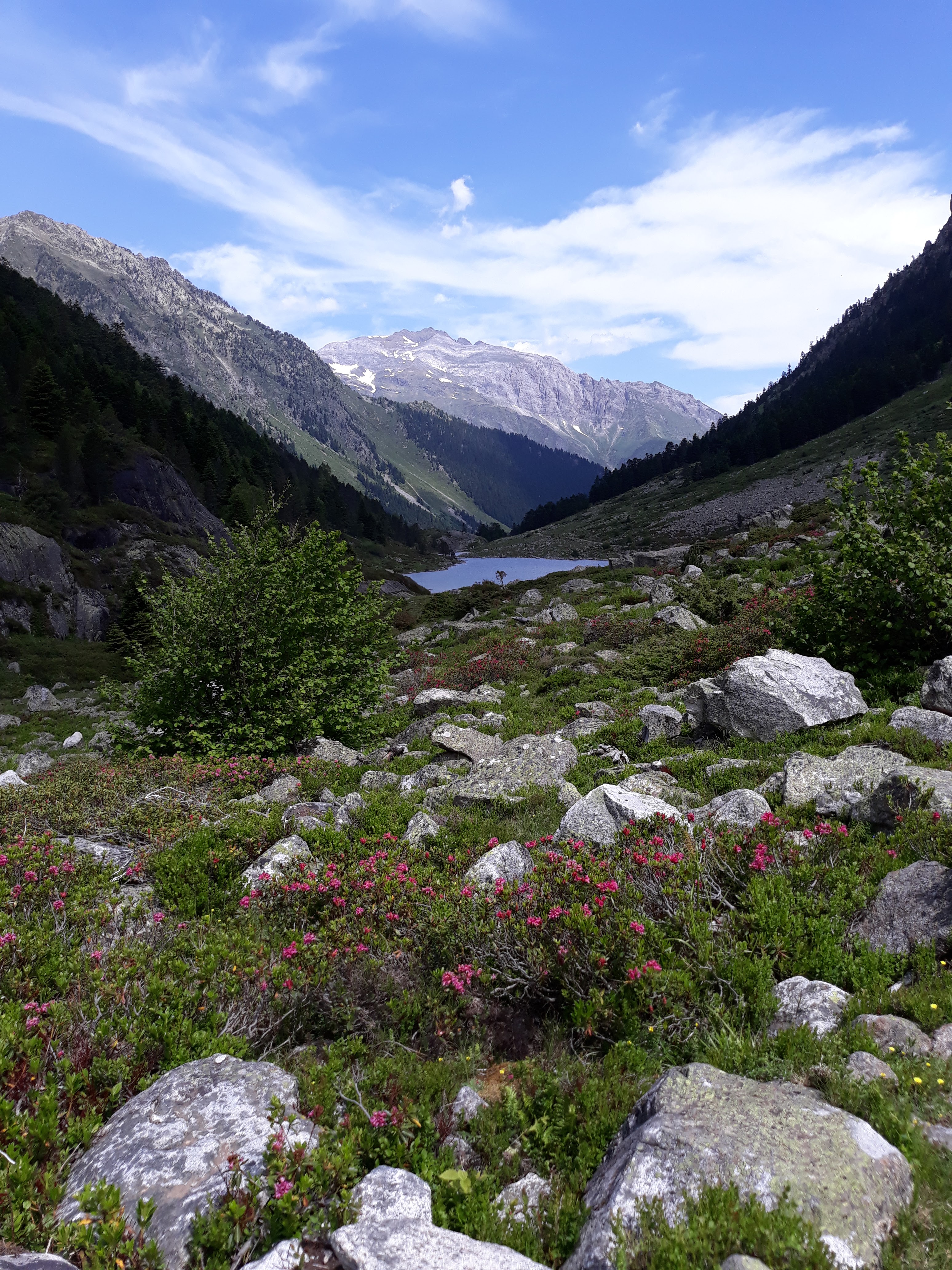 Photo n° 2 de l'avis de celine.b fait le 16/07/2019 à 10:17