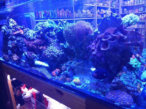 Aquarium «Aquatic Design & Development Group, LLC», reviews and photos, 1725 SW 17th St, Ocala, FL 34471, USA