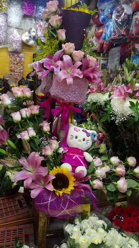 Floreria Estrella – San Martín Texmelucan de Labastida