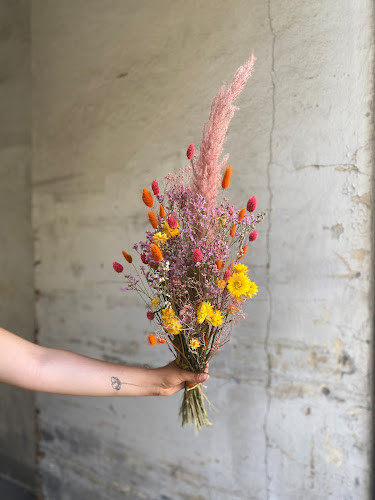 Telefonnummer for Stalks and Roots