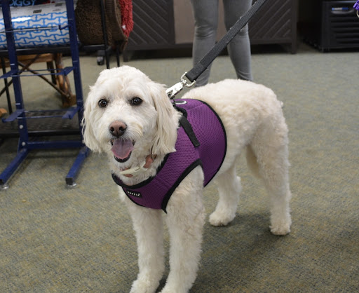 Pet Supply Store «The Natural Pet Enrichment Center», reviews and photos, 6720 Royalton Rd, North Royalton, OH 44133, USA