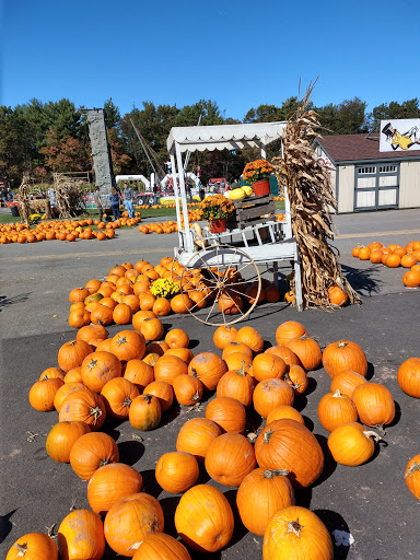 General Store «Country Junction», reviews and photos, 6565 Interchange Rd, Lehighton, PA 18235, USA