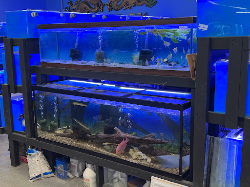 Tropical Fish Store «Lovely Pets Aquarium Store», reviews and photos, 69 Parkingway, Quincy, MA 02169, USA