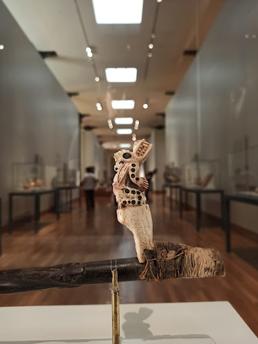 Comentarii opinii despre Museo de Arte de Lima - MALI