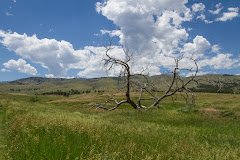 Bobcat Ridge Natural Area