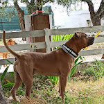 Photo n°3 de l'avis de Ernano.l fait le 07/06/2020 à 18:33 sur le  Borgo Del Cacchione à Grottaferrata