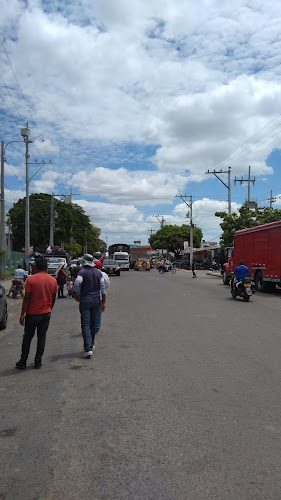 COOPCARIBE - Servicio de transporte