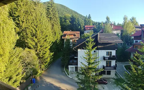 Treez Hostel (Poiana Brasov) image