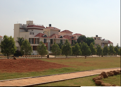 Google Maps image 11