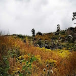 Photo n°11 de l'avis de Adya. fait le 11/08/2021 à 04:33 sur le  Steinerne Renne à Wernigerode