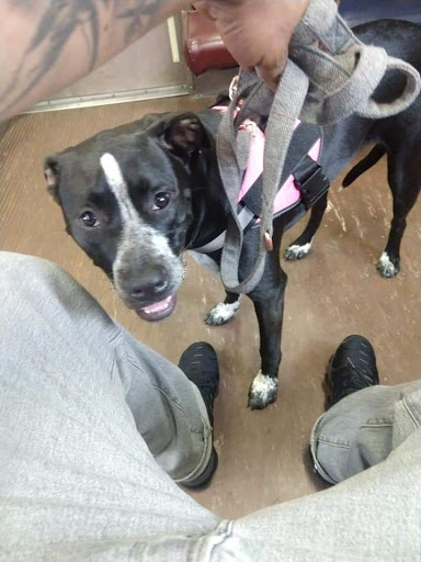 Electronics Store «Best Buy», reviews and photos, 14 Allstate Rd, Dorchester, MA 02125, USA