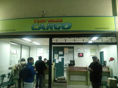 Turbus Cargo