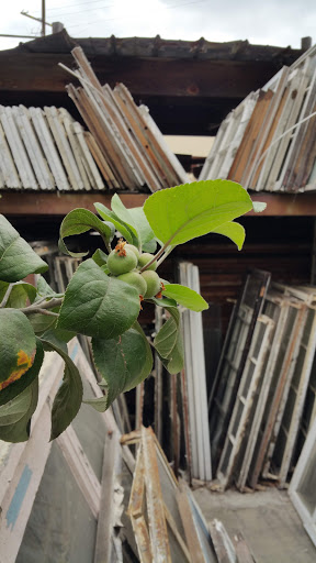 Hardware Store «Freeway Building Materials», reviews and photos, 1124 S Boyle Ave, Los Angeles, CA 90023, USA