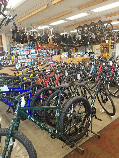 Bicycle Repair Shop «The Outer Rim Bicycle Shop», reviews and photos, 10625 NE Halsey St, Portland, OR 97220, USA