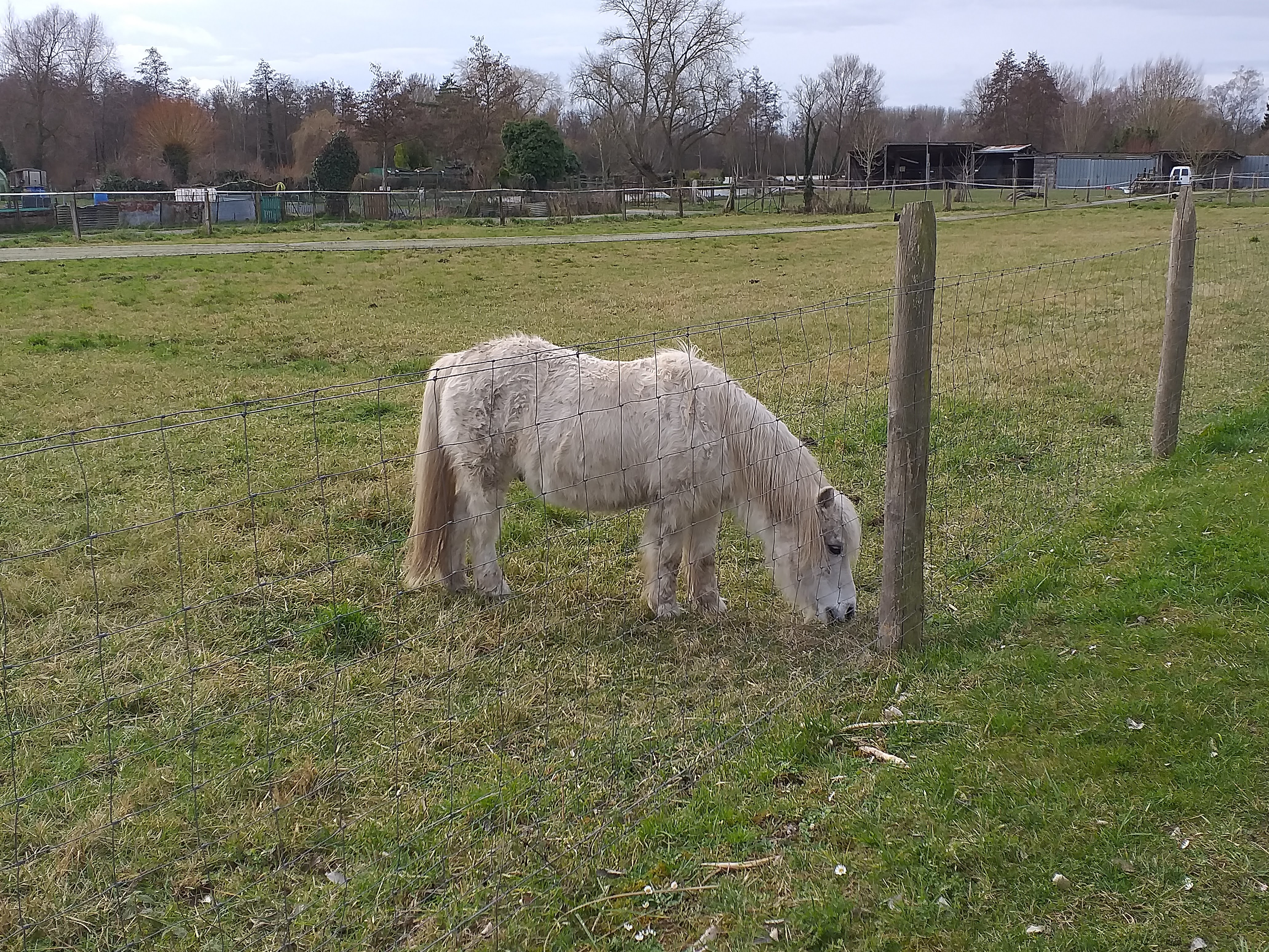 Photo n° 1 de l'avis de Marie.b fait le 15/02/2022 à 15:56