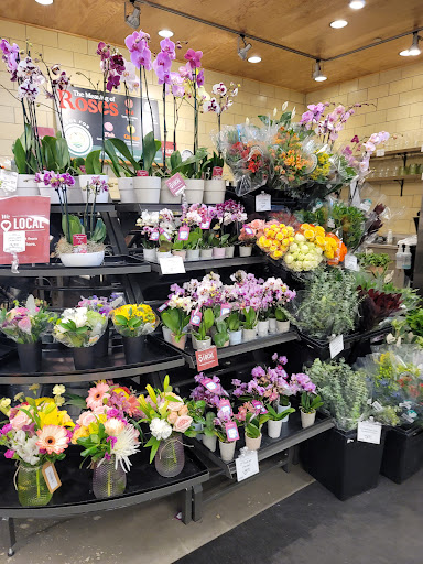 Grocery Store «Whole Foods Market», reviews and photos, 3802 Northdale Blvd, Greater Northdale, FL 33624, USA