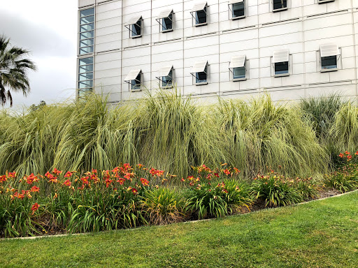 S Wilson Ave & E Del Mar Blvd, Pasadena, CA 91125, USA